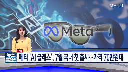 글래스,메타,국내,출시,모델