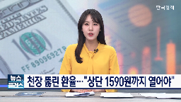 환율,보고,가능성,경우,변동성,전문가,전쟁,상단,자금