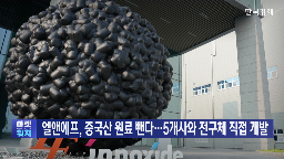 양극재,전구체,생산,엘앤에프,기술,개발,국내,가격
