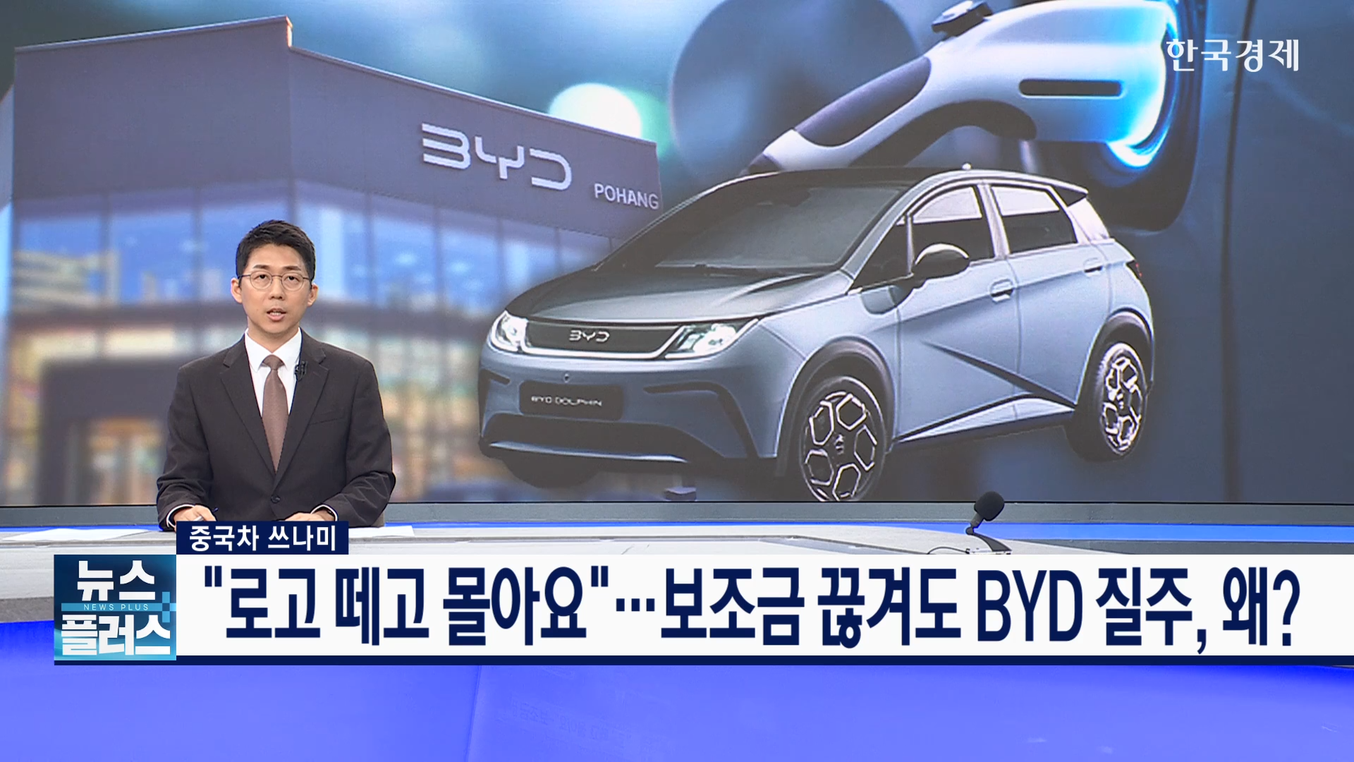 중국,로고,보조금,판매,차주
