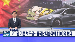 보조금,중국,테슬라,만든