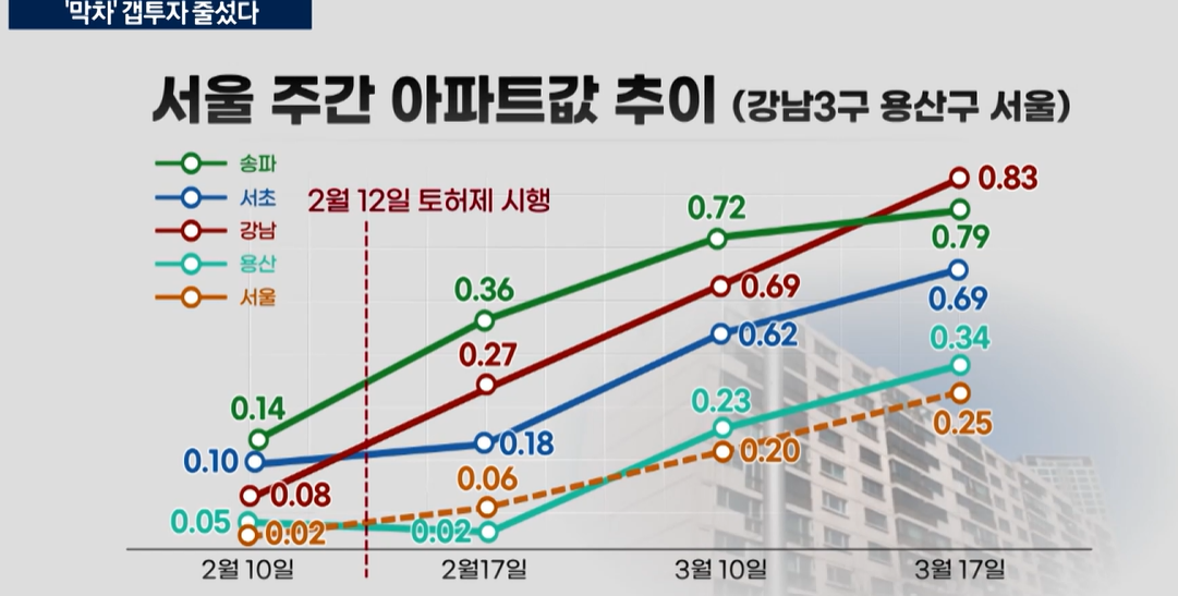 부동산,지정,이번,강남