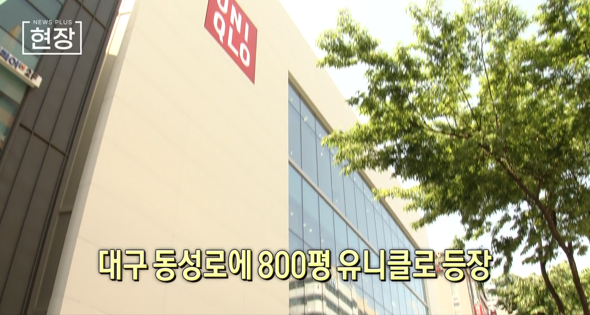 대구,유니클로,매장,지역,동성로