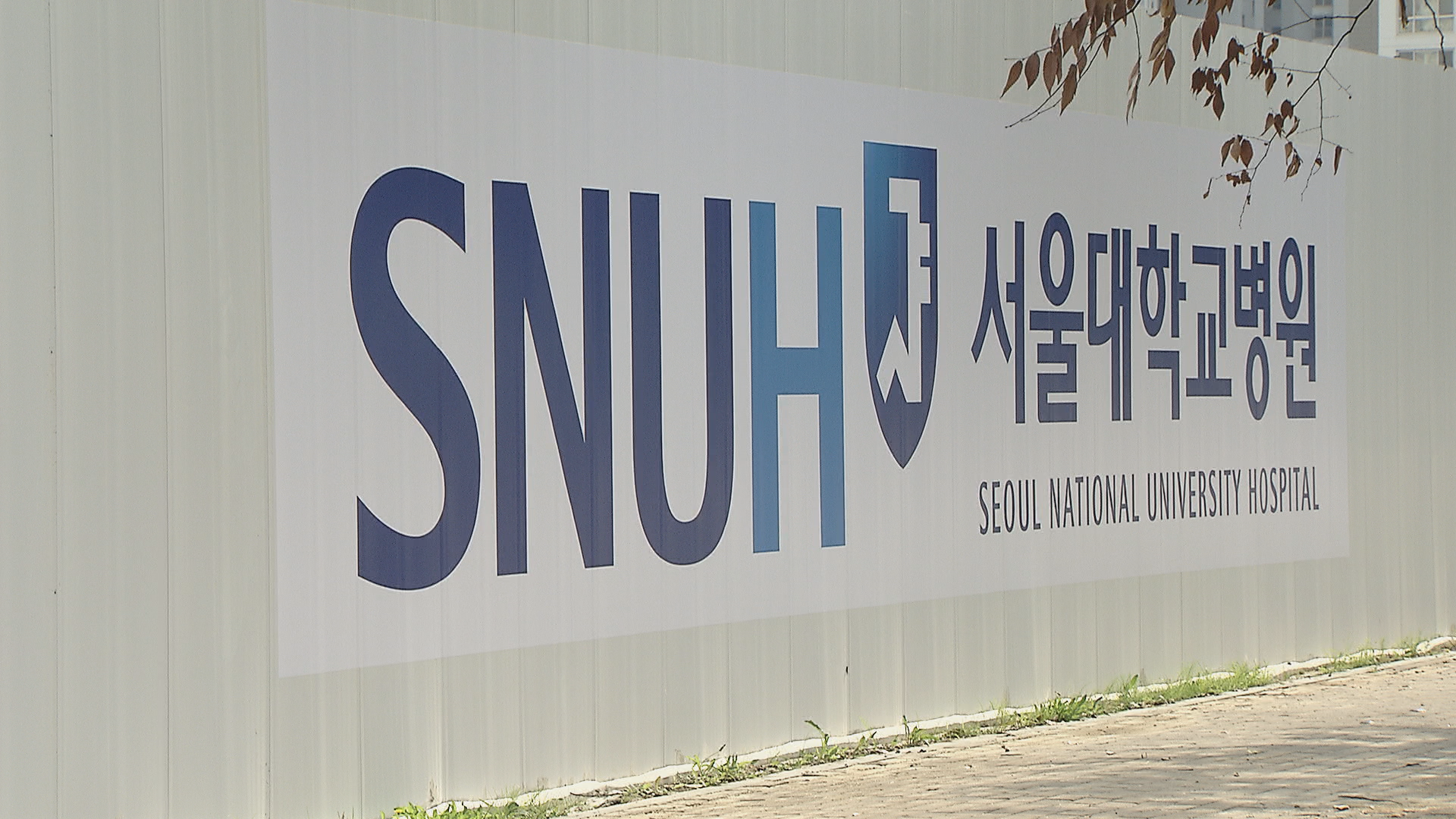 시흥시,성장,기반,전문