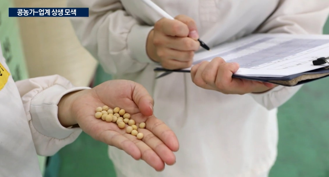 국산콩,가격,소비,농가,생산,정부,생산성,조금