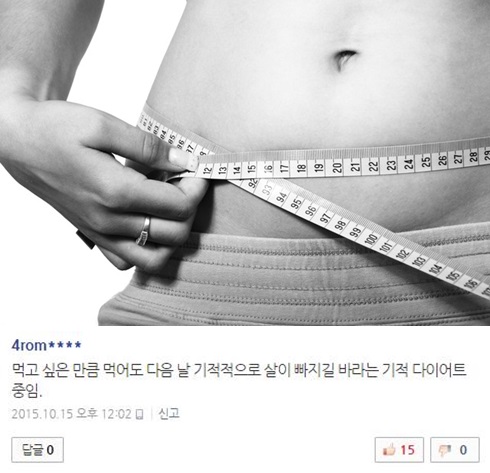 사진출처-pixabay