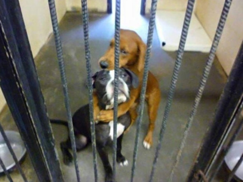 사진 출처 페이스북 