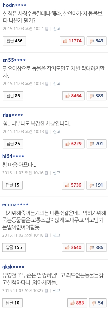 사진출처-네이버캡처