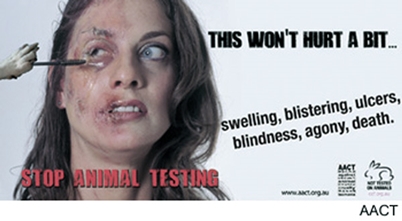 사진출처-동물보호단체 보도자료