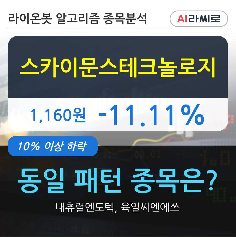 스카이문스테크놀로지