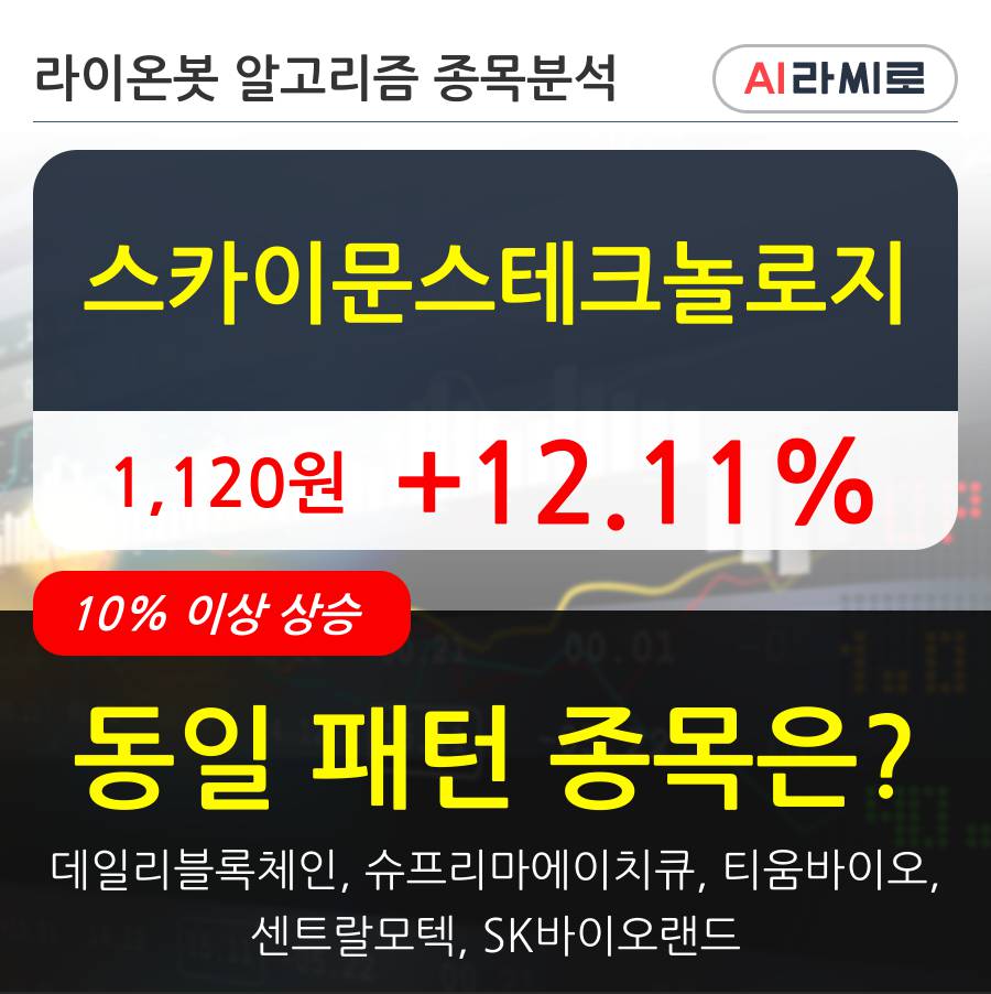 스카이문스테크놀로지