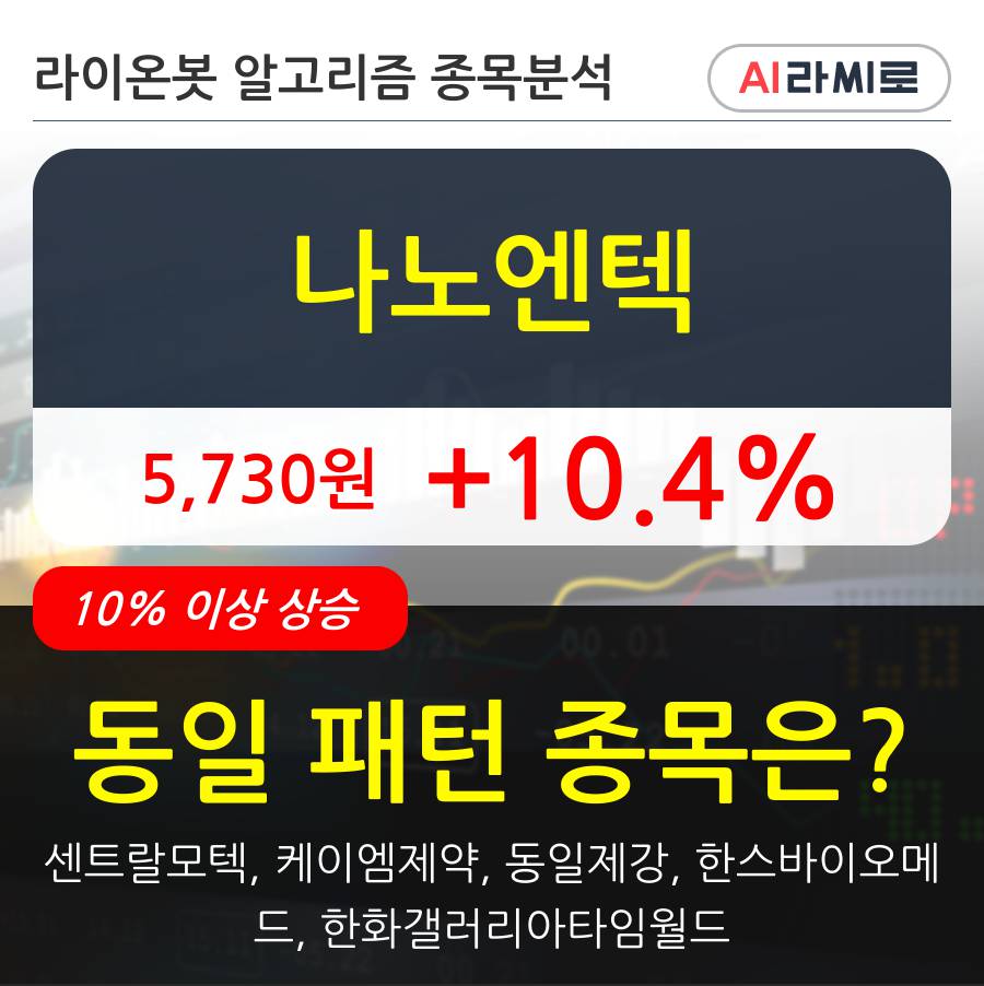 나노엔텍