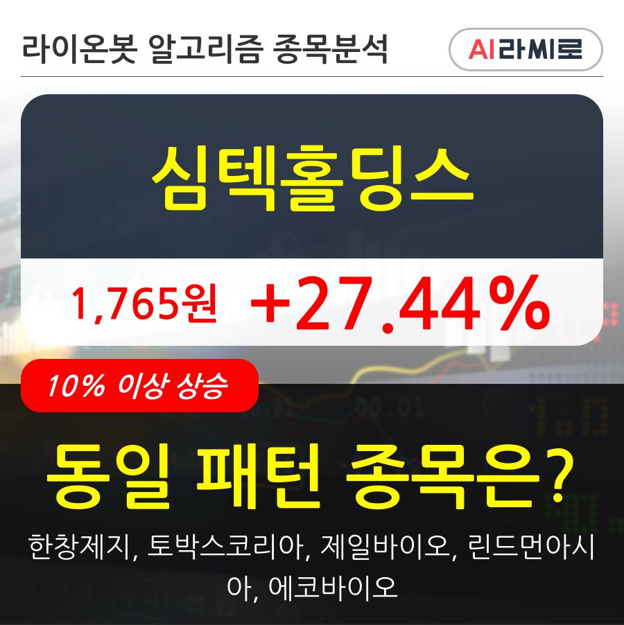 심텍홀딩스