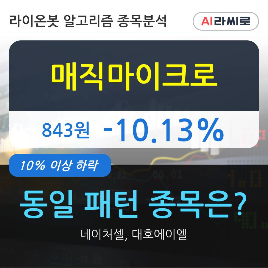 매직마이크로