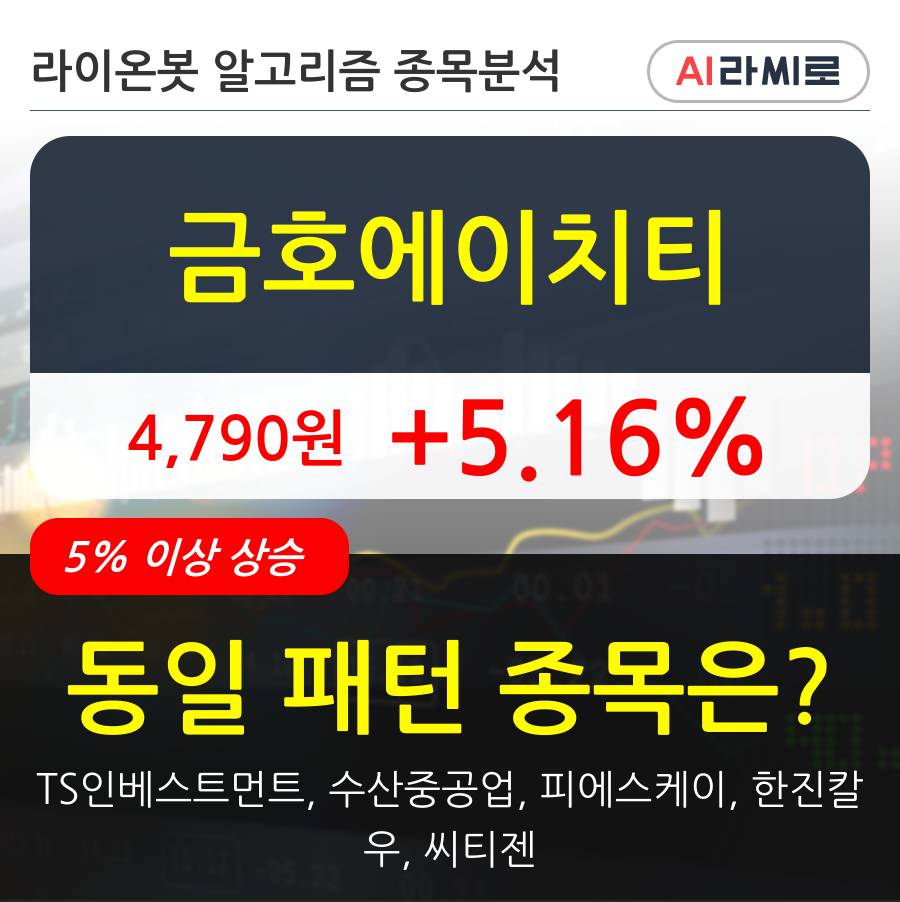 금호에이치티