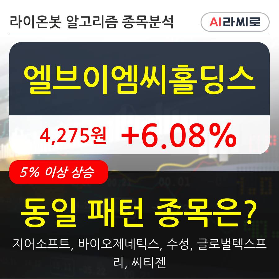 엘브이엠씨홀딩스