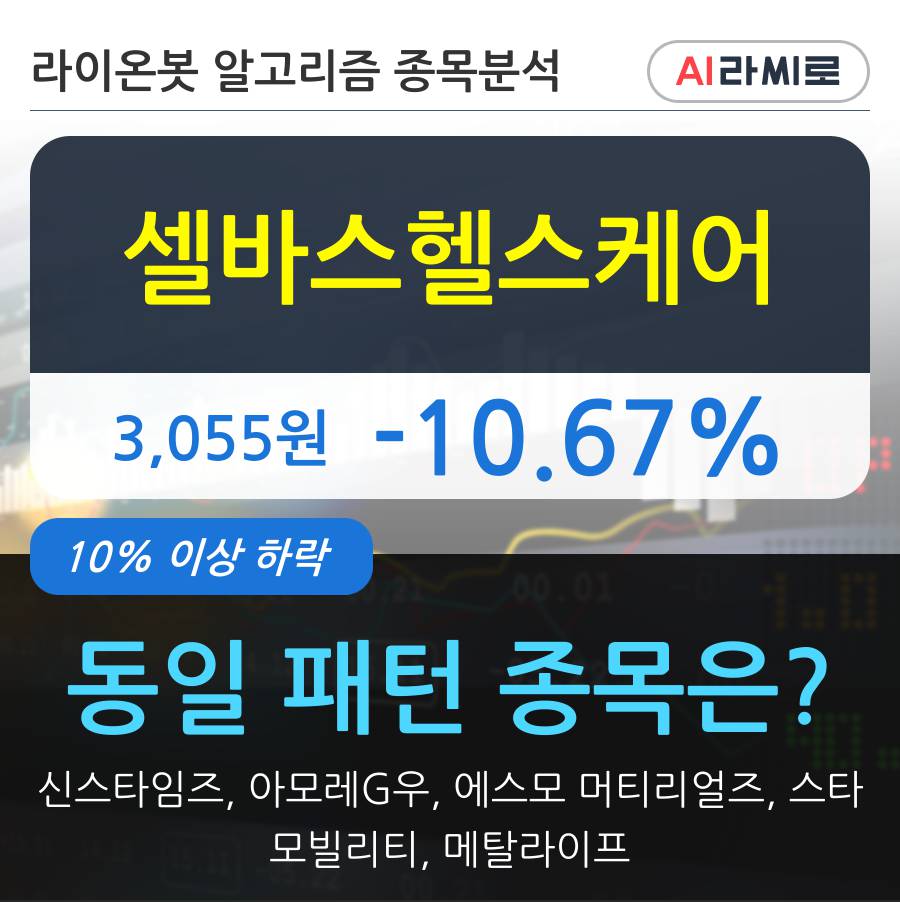 셀바스헬스케어