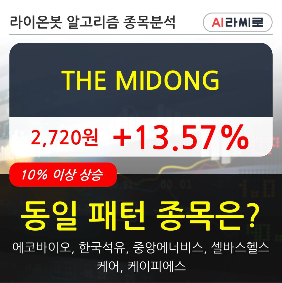 THE MIDONG