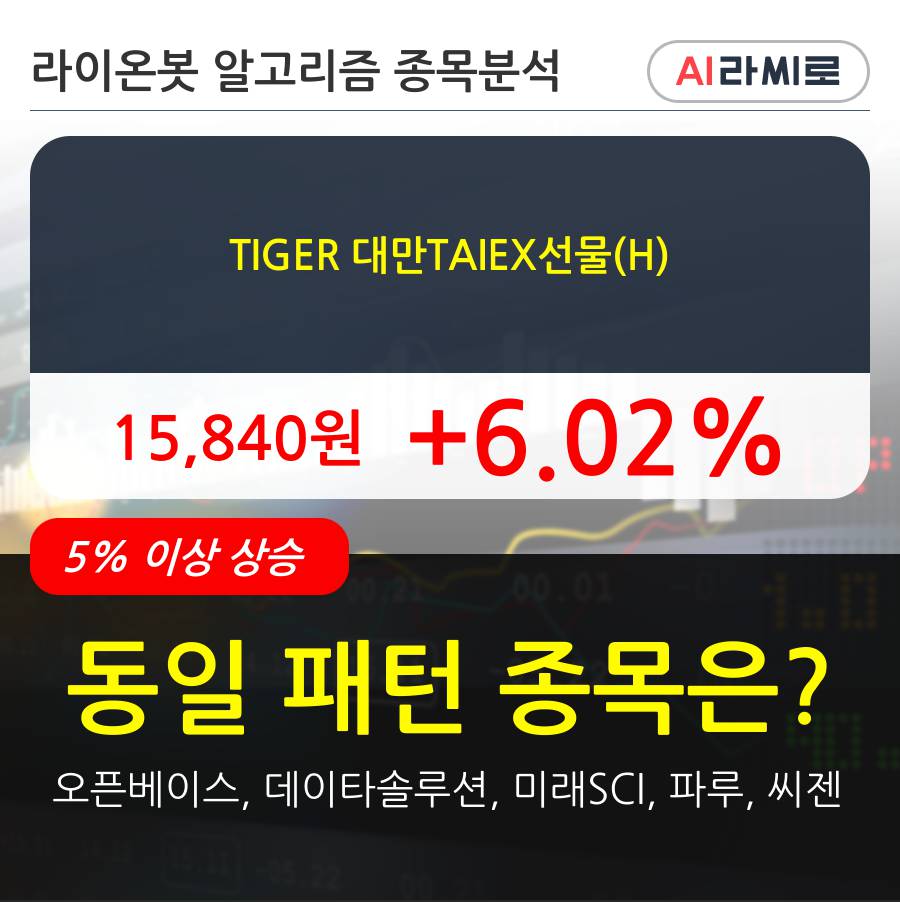 TIGER 대만TAIEX선물(H)