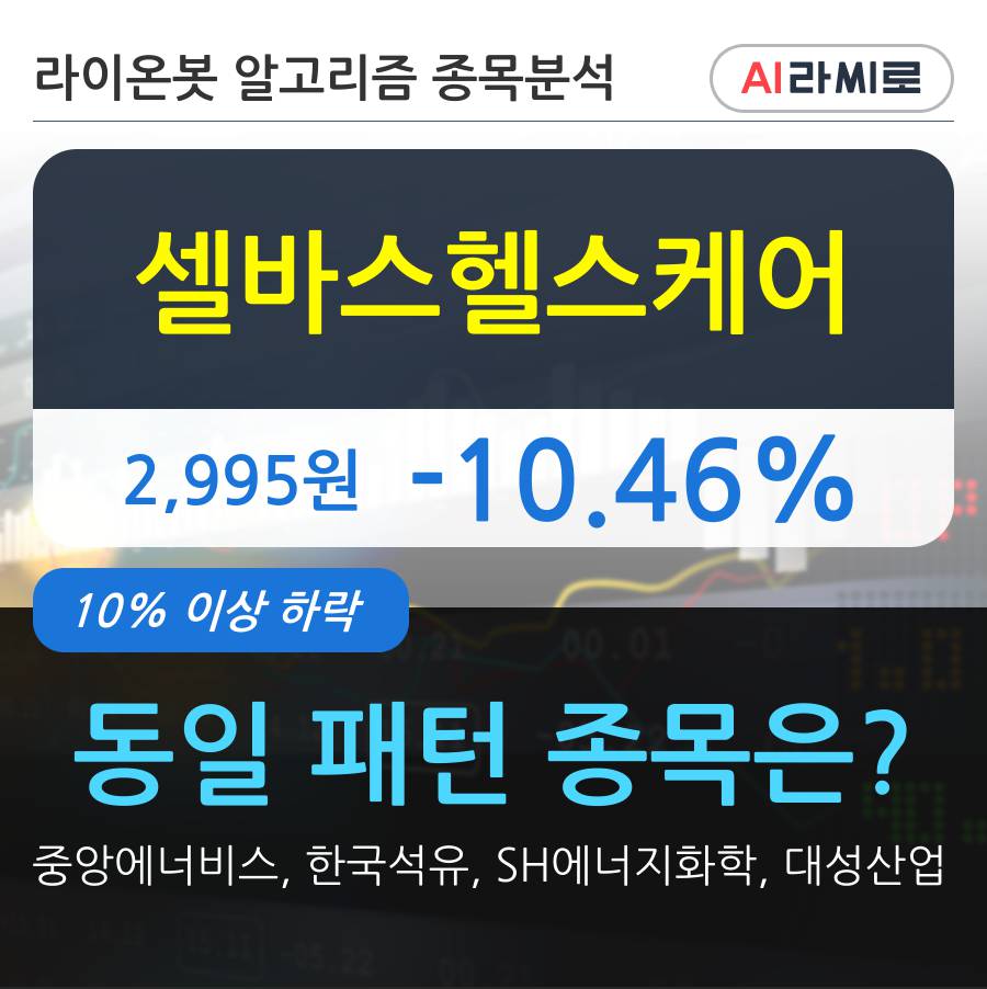 셀바스헬스케어