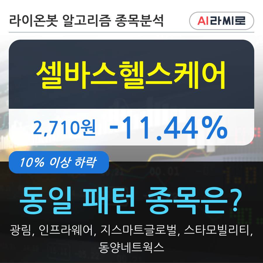 셀바스헬스케어