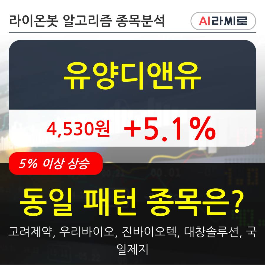 유양디앤유