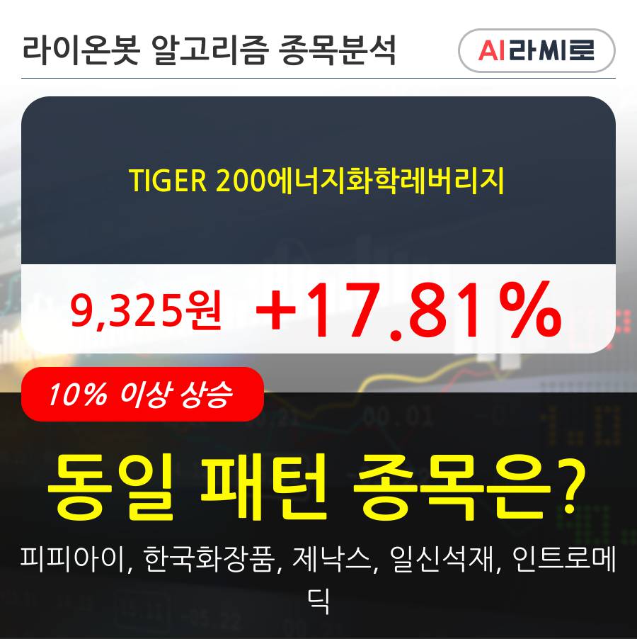 TIGER 200에너지화학레버리지