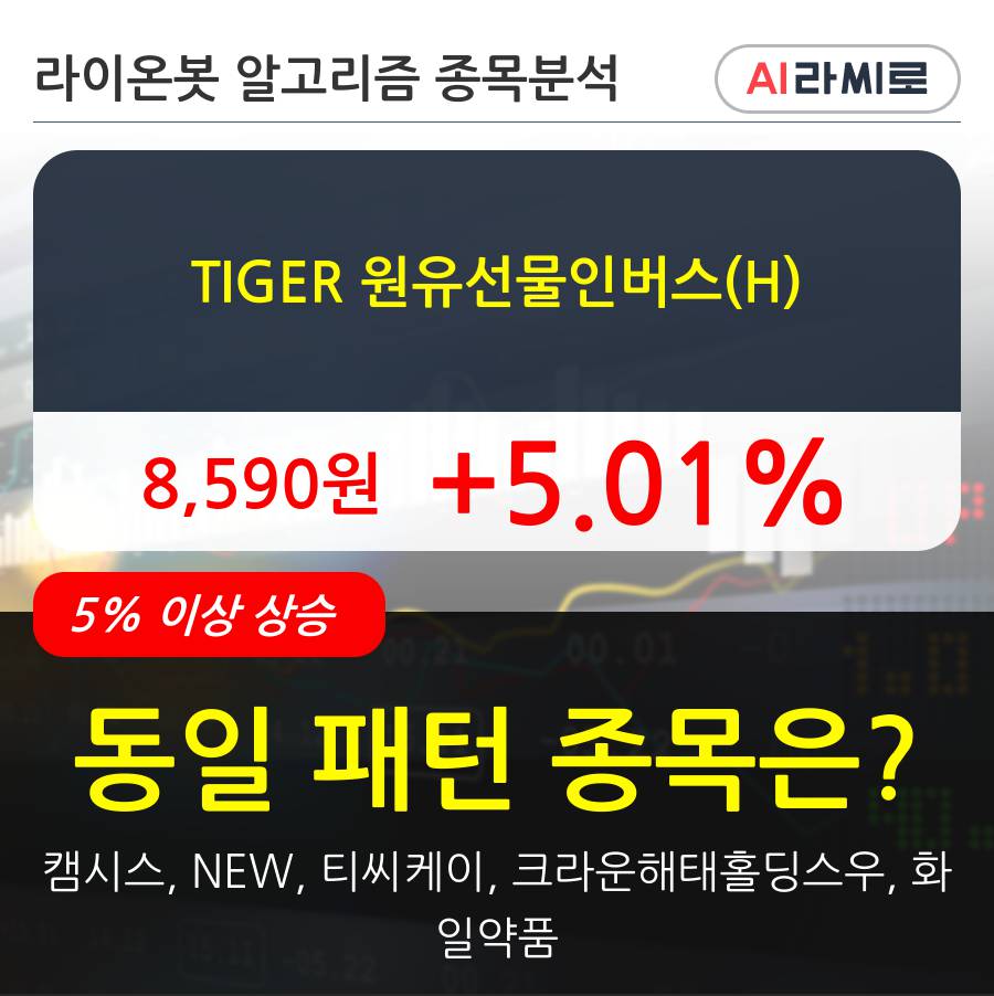 TIGER 원유선물인버스(H)