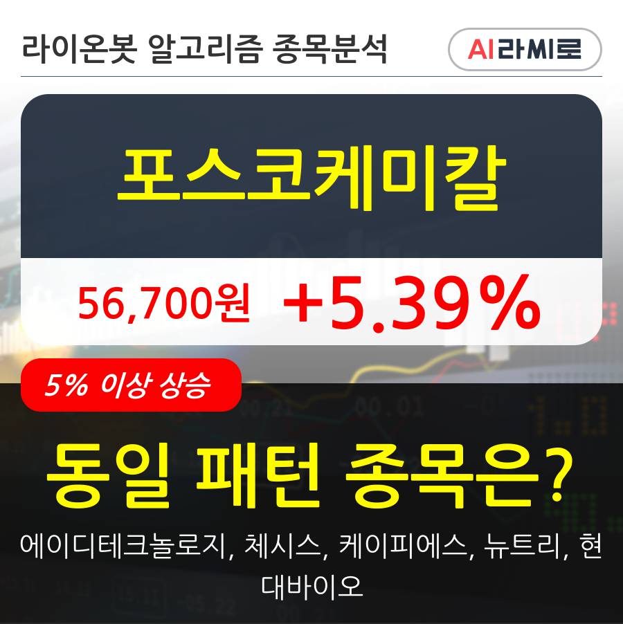 포스코케미칼