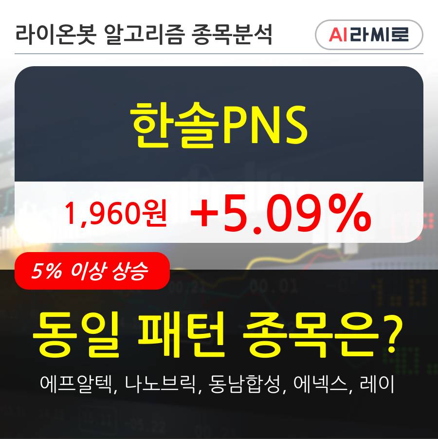 한솔PNS