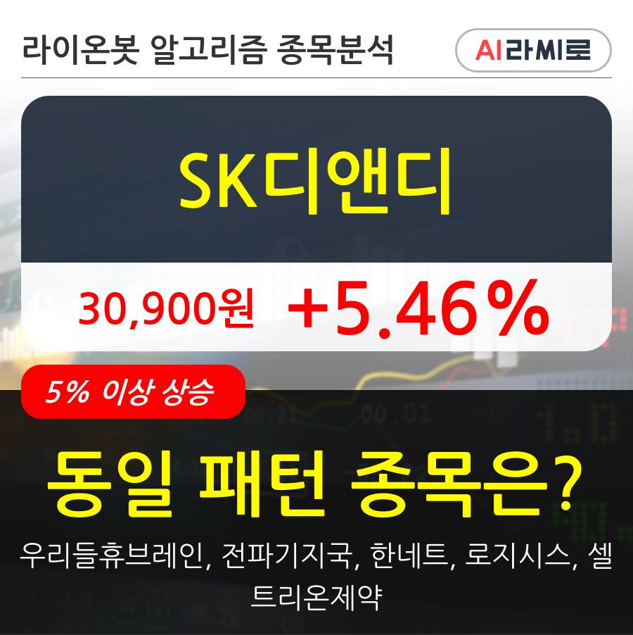 SK디앤디