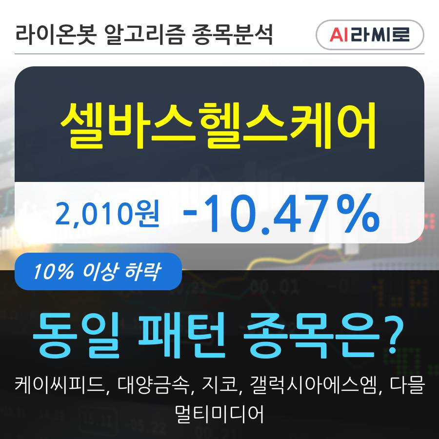 셀바스헬스케어