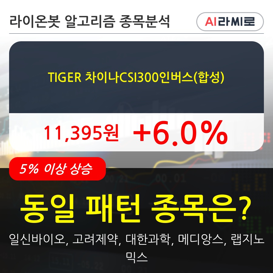 TIGER 차이나CSI300인버스(합성)