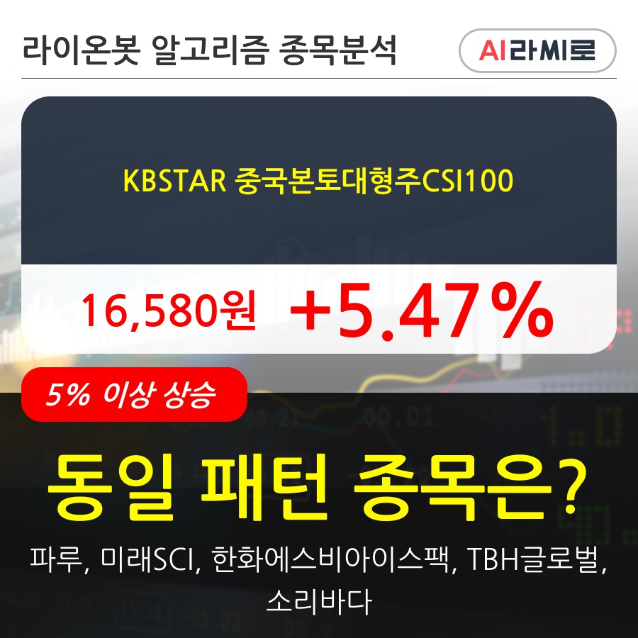 KBSTAR 중국본토대형주CSI100