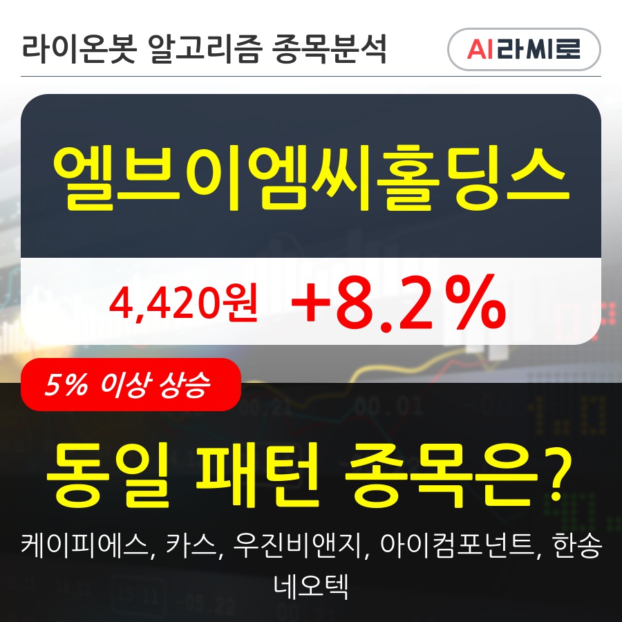 엘브이엠씨홀딩스