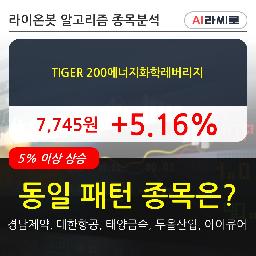 TIGER 200에너지화학레버리지