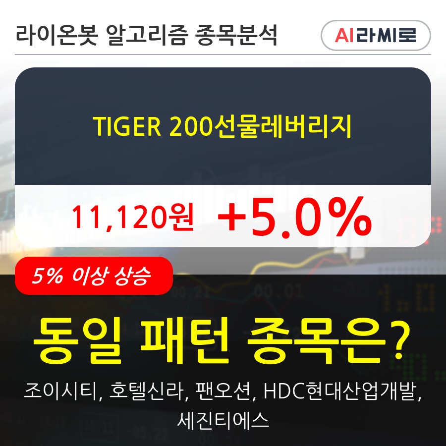 TIGER 200선물레버리지