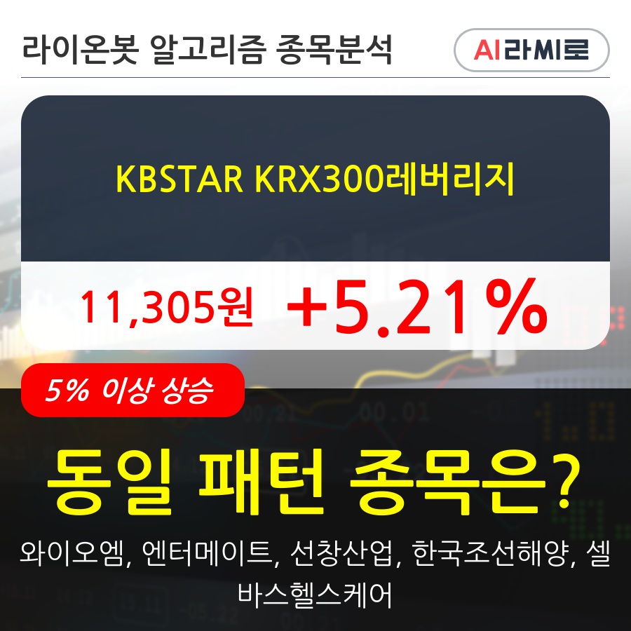 KBSTAR KRX300레버리지