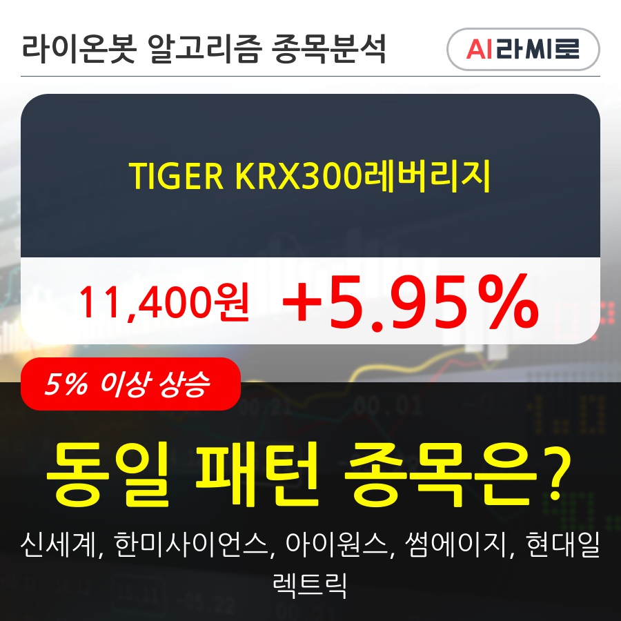 TIGER KRX300레버리지