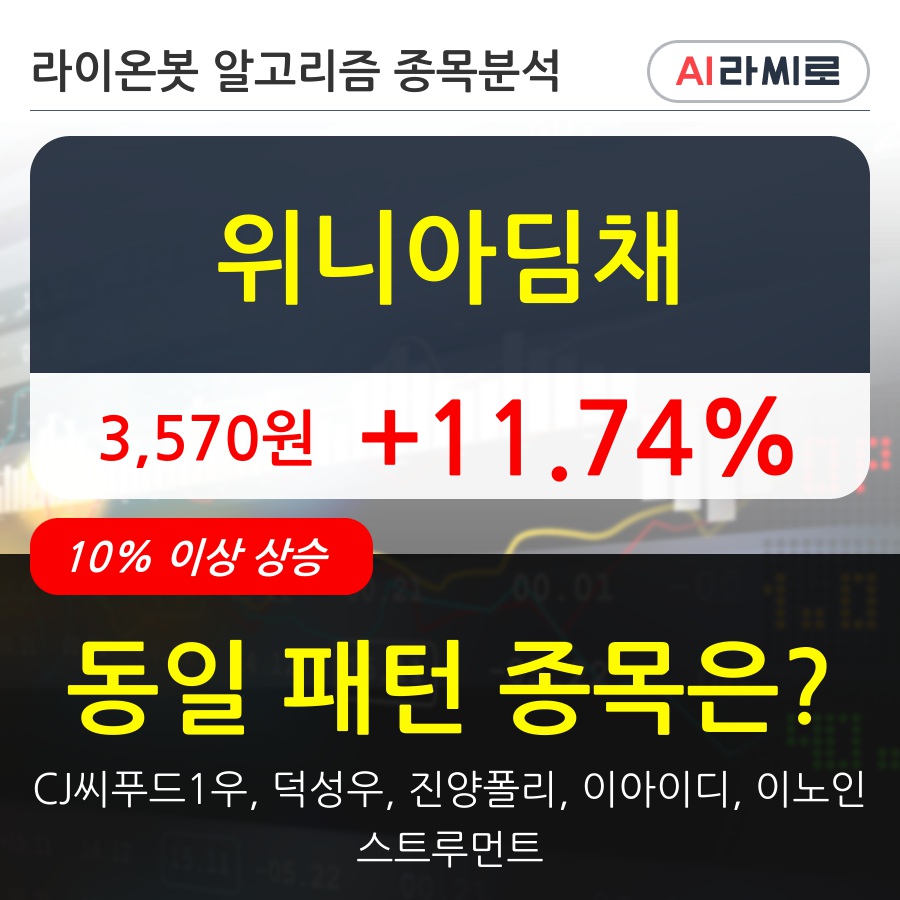 위니아딤채