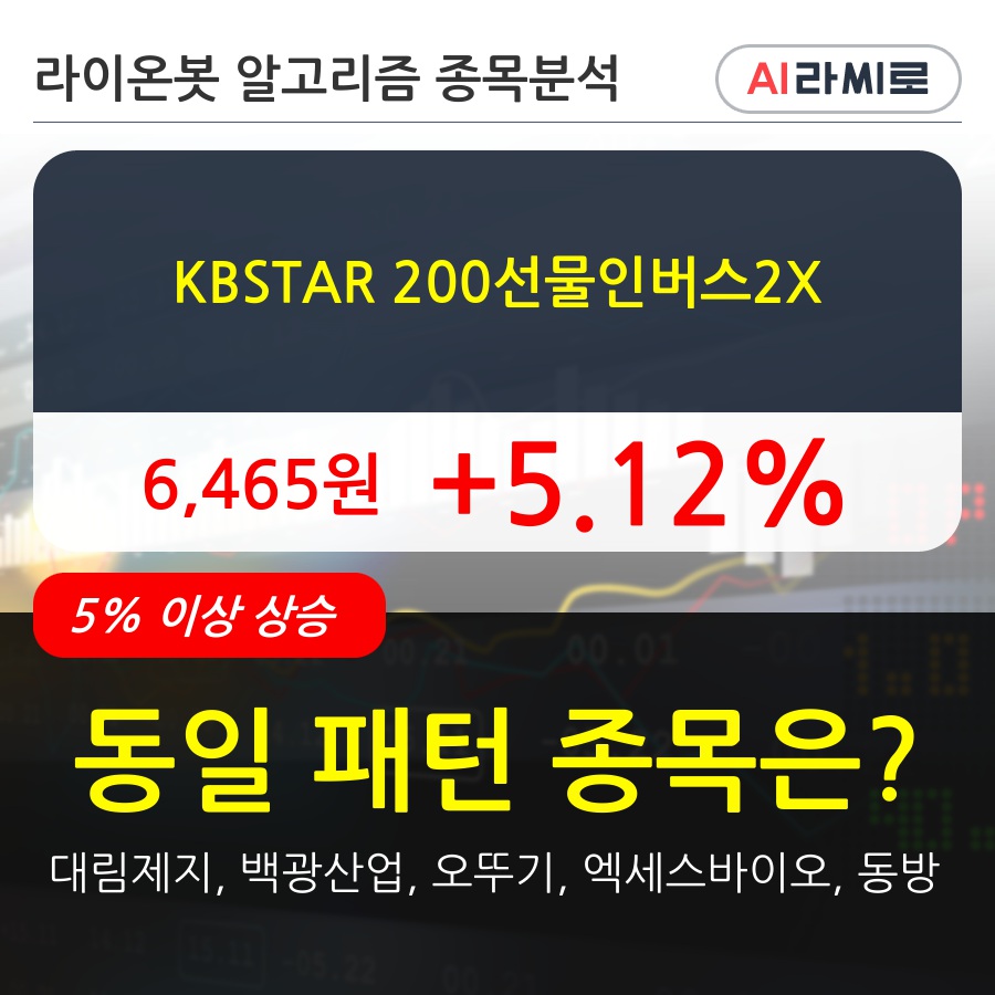 KBSTAR 200선물인버스2X