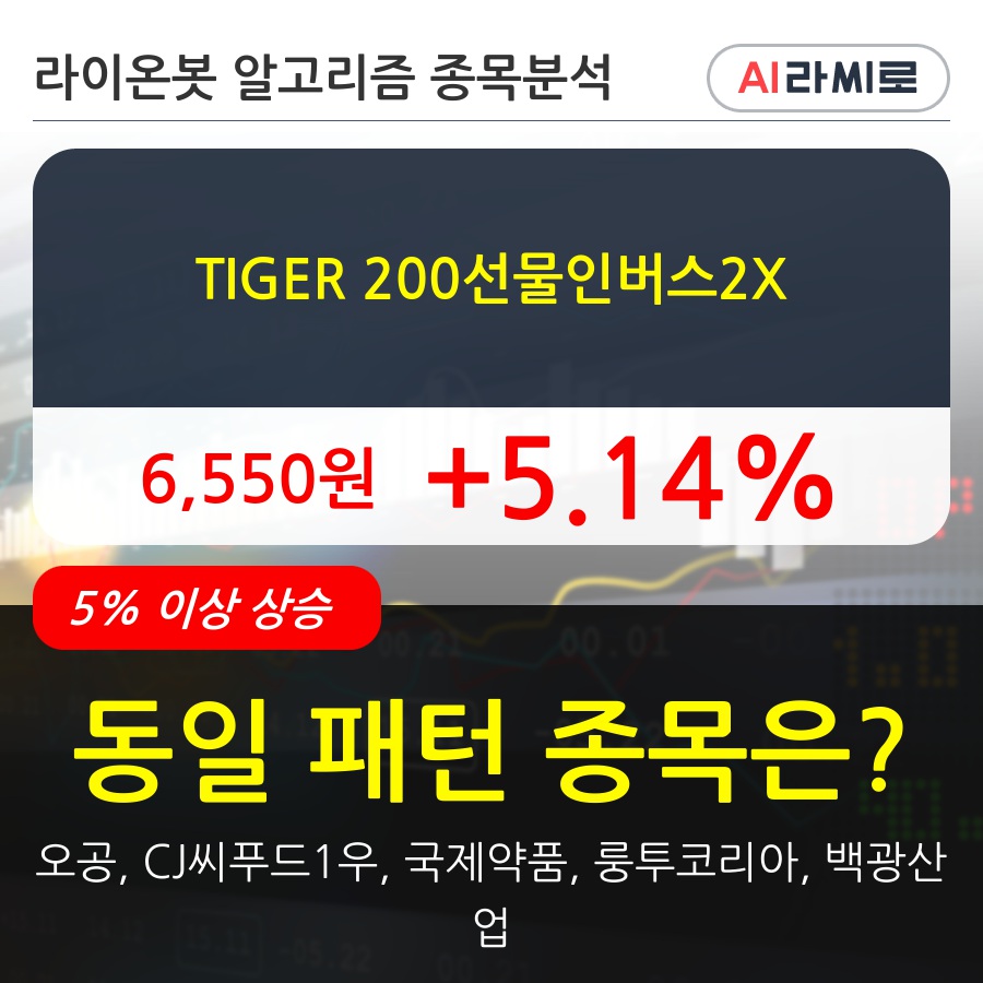 TIGER 200선물인버스2X