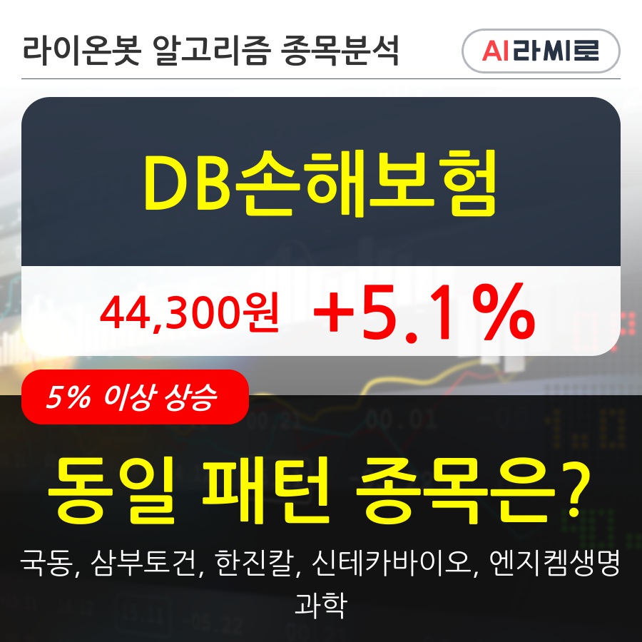 DB손해보험