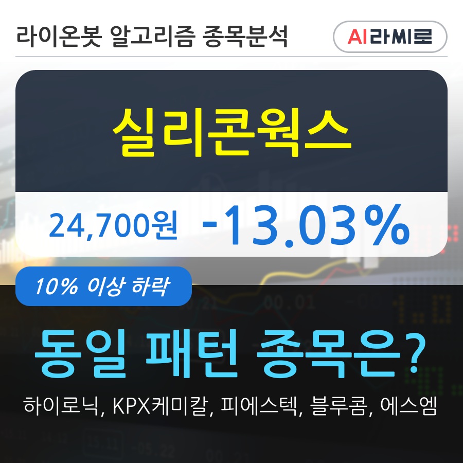 실리콘웍스