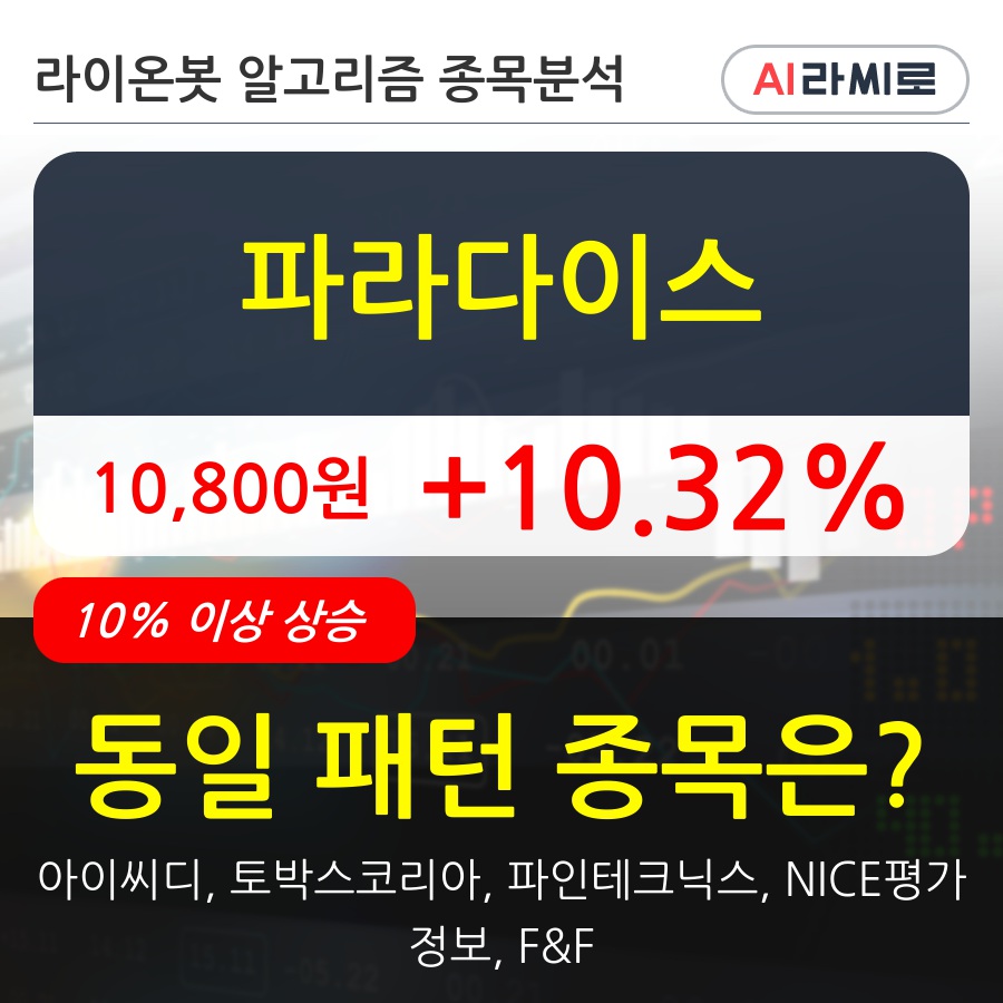 파라다이스