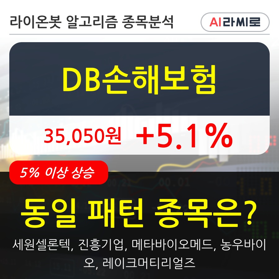 DB손해보험