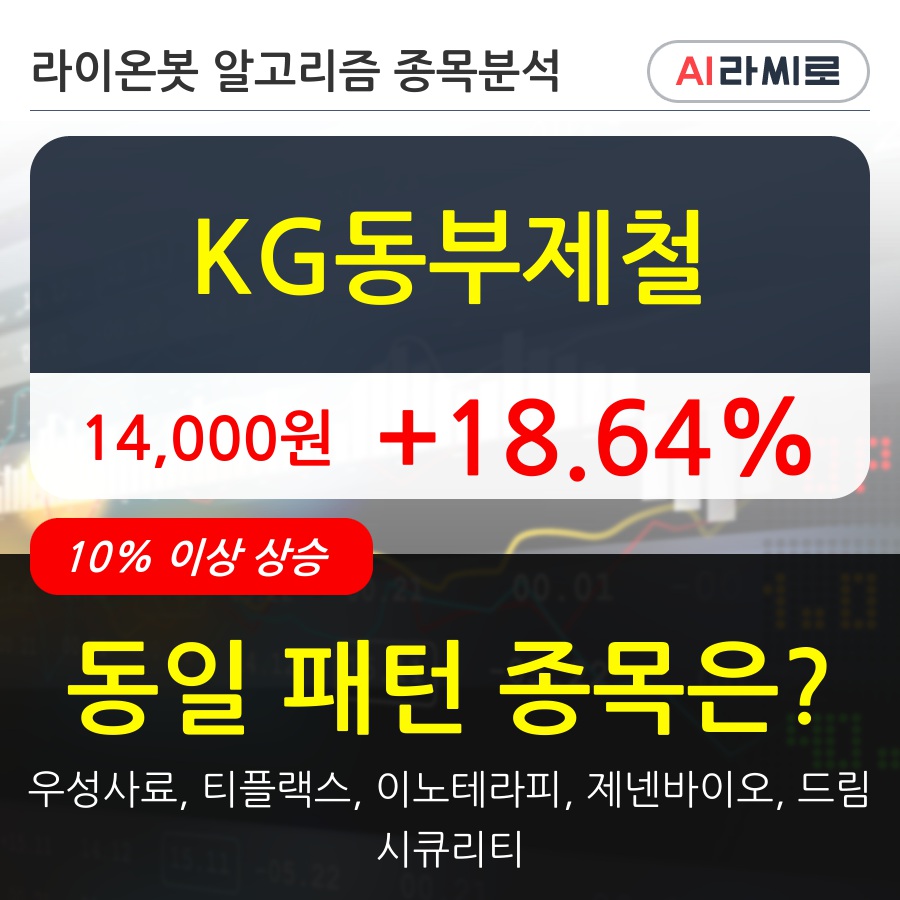 KG동부제철