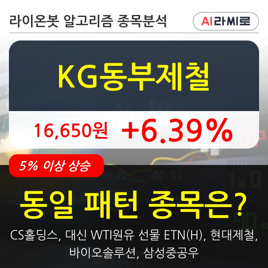 KG동부제철