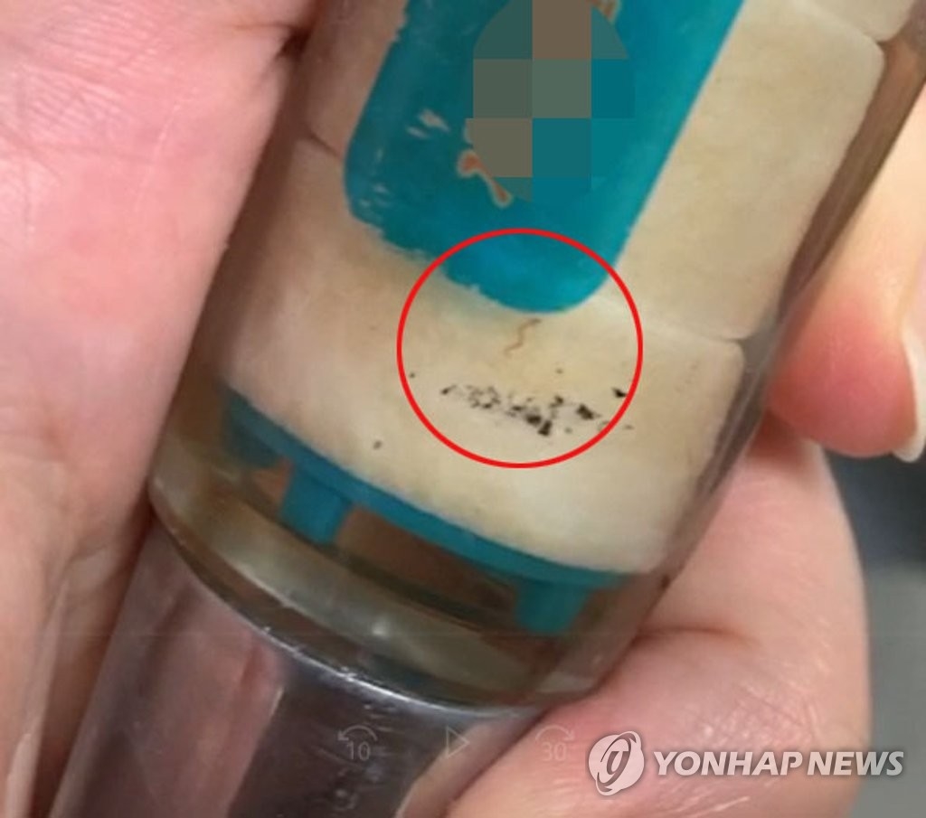 인천 수돗물에서 발견된 유충 (사진=연합뉴스)