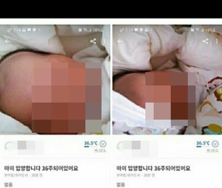 (중고거래 앱 소비자에 의해 신고된 거래글. 현재는 삭제된 상태다. 출처=연합뉴스)